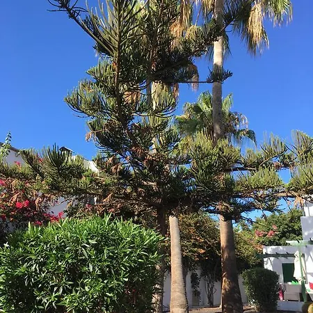 アパート Paradise Club Oasis プエルト・デル・カルメン