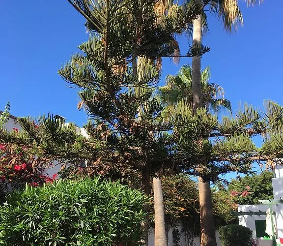 Lejlighed Paradise Club Oasis Puerto del Carmen (Lanzarote)