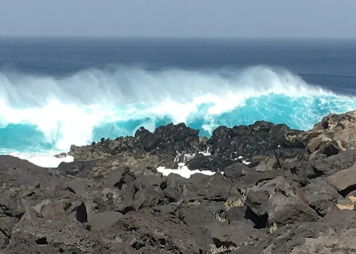 Paradise Club Oasis Lejlighed *